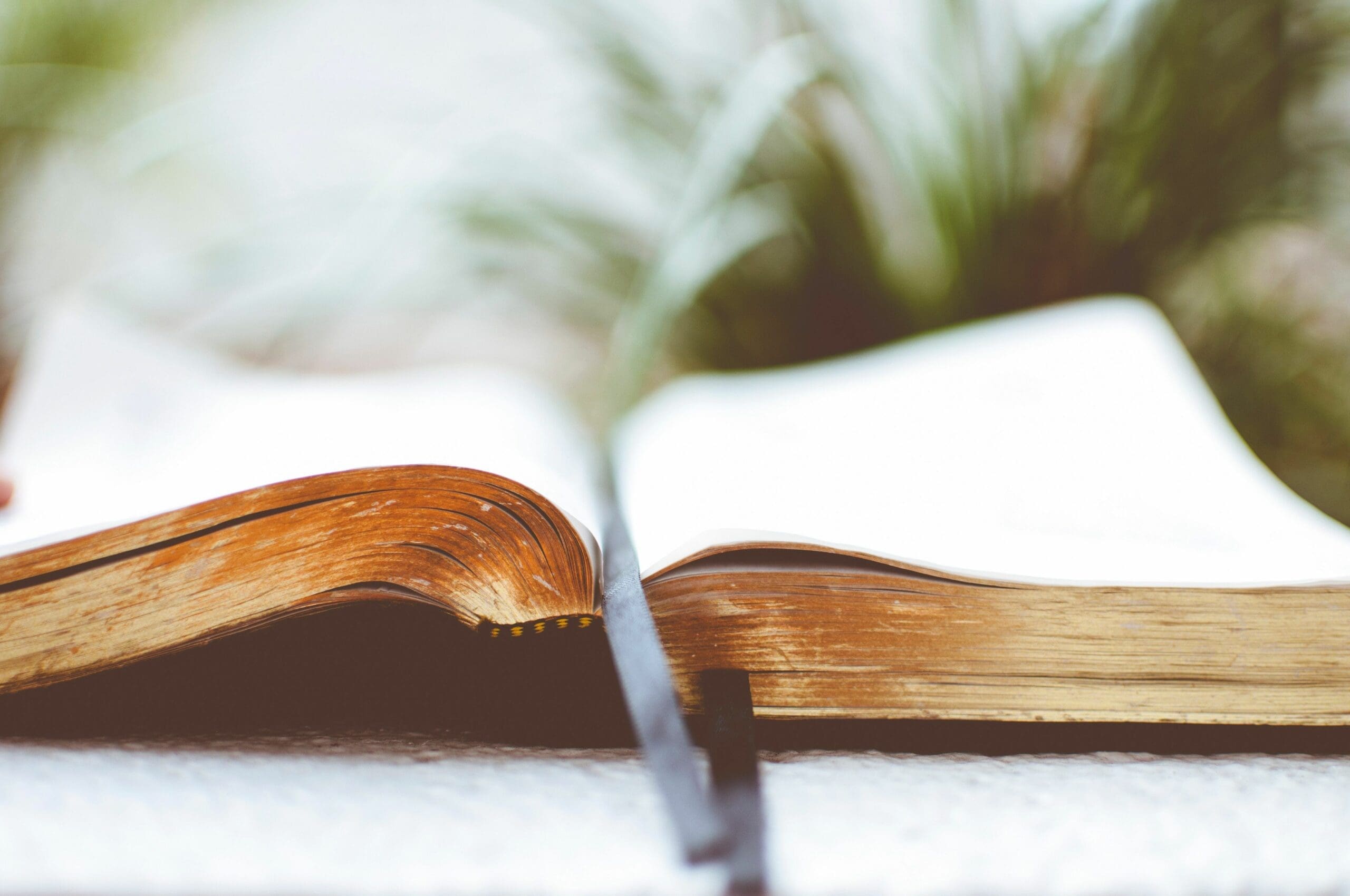 If I Had One Opportunity:Urgent Messages For Today What I Would Say To The Members of My Congregation – May 13, 2019